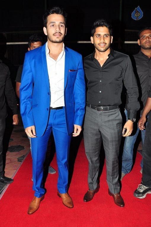 TSR - TV9 National Film Awards Photos 3 - 196 / 441 photos