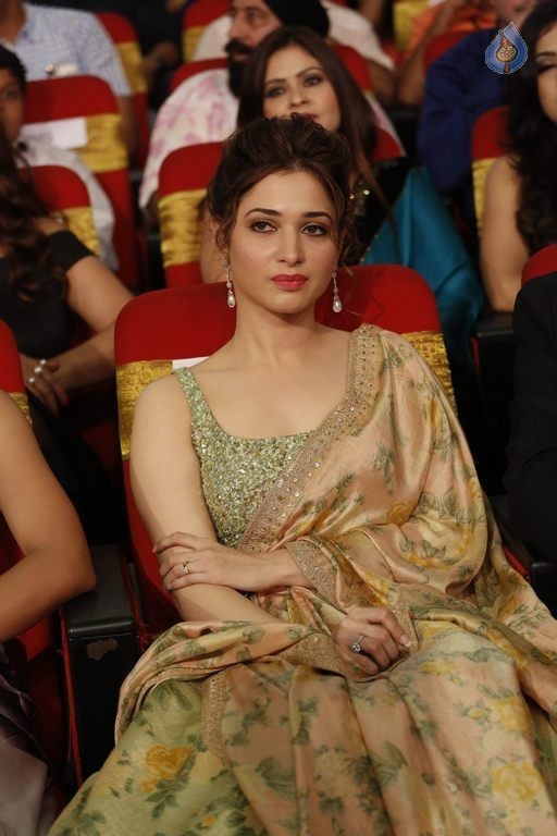 TSR - TV9 National Film Awards Photos 3 - 205 / 441 photos