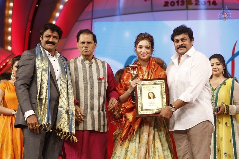 TSR - TV9 National Film Awards Photos 3 - 206 / 441 photos