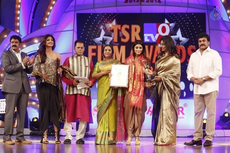 TSR - TV9 National Film Awards Photos 3 - 212 / 441 photos