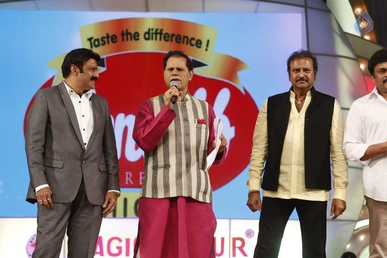 TSR - TV9 National Film Awards Photos 3 - 227 / 441 photos