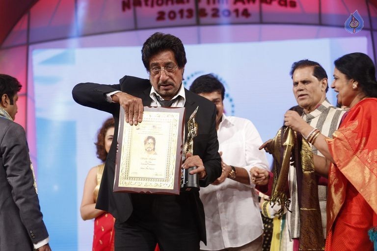 TSR - TV9 National Film Awards Photos 3 - 229 / 441 photos