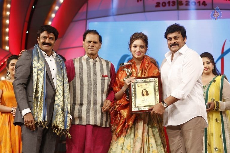 TSR - TV9 National Film Awards Photos 3 - 239 / 441 photos