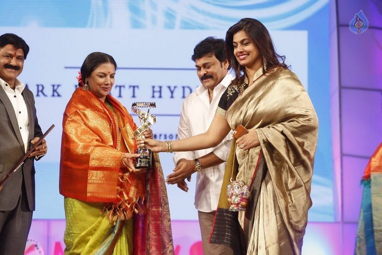 TSR - TV9 National Film Awards Photos 3 - 246 / 441 photos