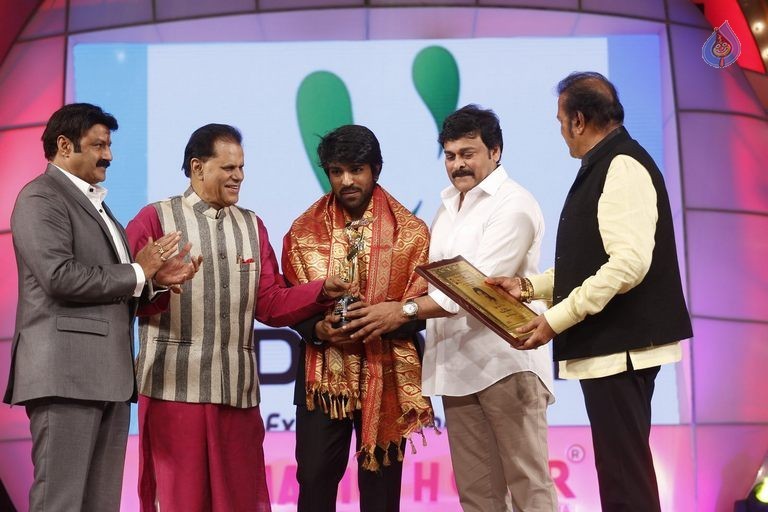 TSR - TV9 National Film Awards Photos 3 - 274 / 441 photos