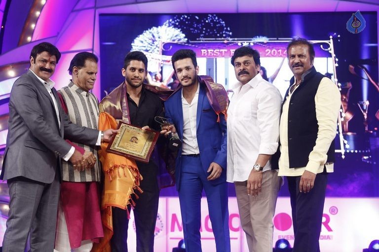TSR - TV9 National Film Awards Photos 3 - 277 / 441 photos