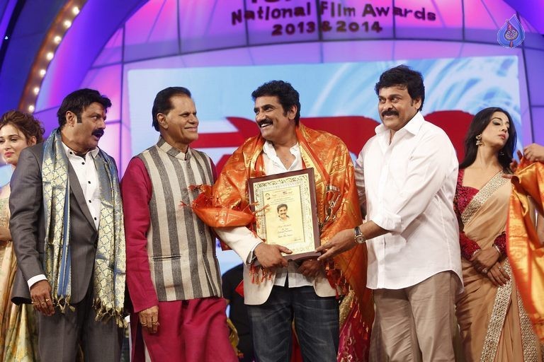 TSR - TV9 National Film Awards Photos 3 - 297 / 441 photos