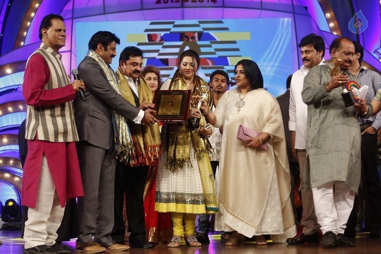 TSR - TV9 National Film Awards Photos 3 - 300 / 441 photos
