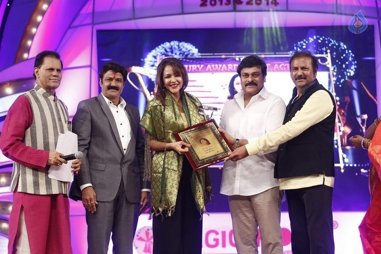 TSR - TV9 National Film Awards Photos 3 - 318 / 441 photos