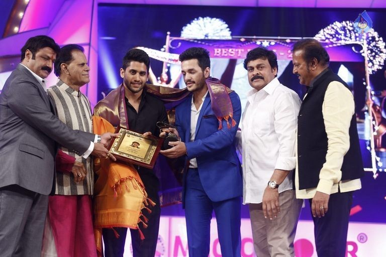 TSR - TV9 National Film Awards Photos 3 - 321 / 441 photos