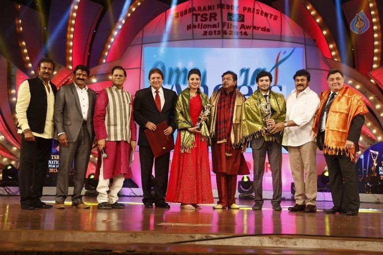 TSR - TV9 National Film Awards Photos 3 - 326 / 441 photos