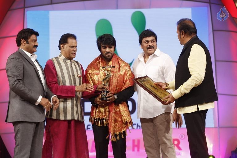 TSR - TV9 National Film Awards Photos 3 - 336 / 441 photos