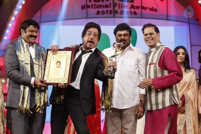 TSR - TV9 National Film Awards Photos 3 - 358 / 441 photos