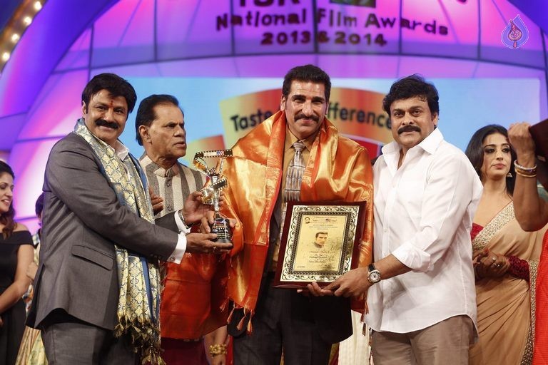 TSR - TV9 National Film Awards Photos 3 - 394 / 441 photos