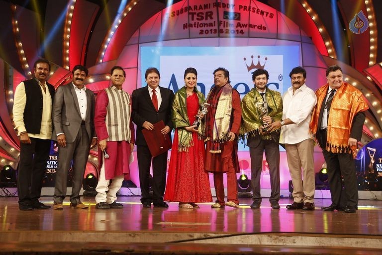 TSR - TV9 National Film Awards Photos 3 - 397 / 441 photos