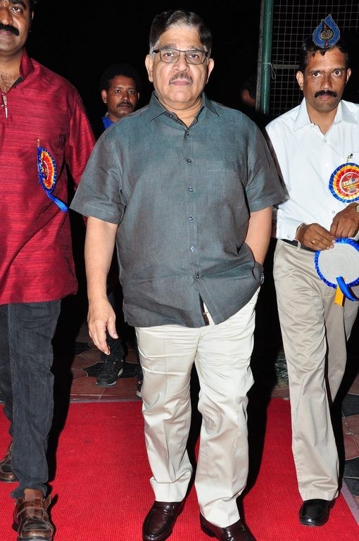 TSR - TV9 National Film Awards Photos 3 - 399 / 441 photos