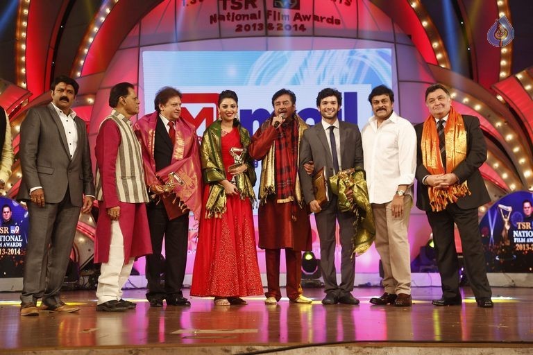 TSR - TV9 National Film Awards Photos 3 - 404 / 441 photos