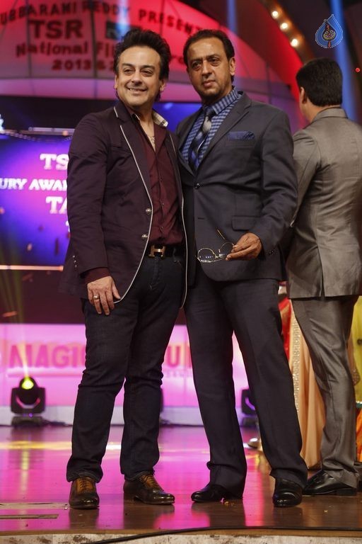 TSR - TV9 National Film Awards Photos 3 - 417 / 441 photos