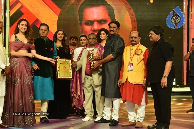 TSR National Film Awards - 4 / 45 photos