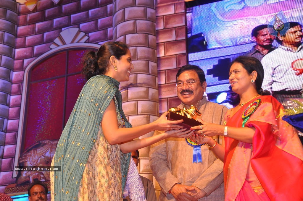 TV Nandi Awards 2011 - 111 / 326 photos