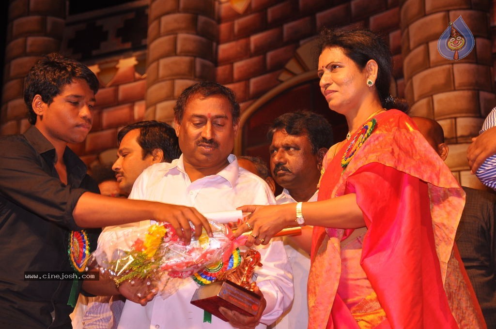 TV Nandi Awards 2011 - 117 / 326 photos