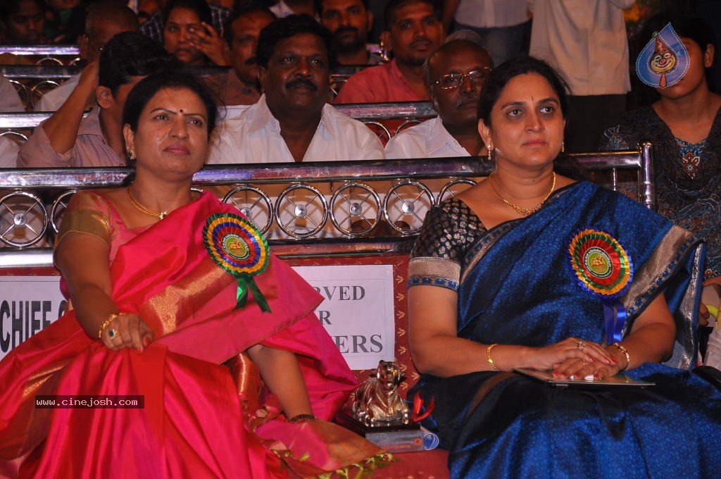 TV Nandi Awards 2011 - 118 / 326 photos