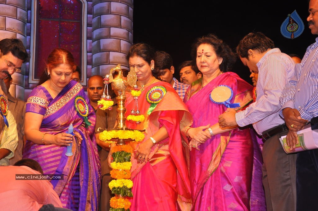 TV Nandi Awards 2011 - 132 / 326 photos