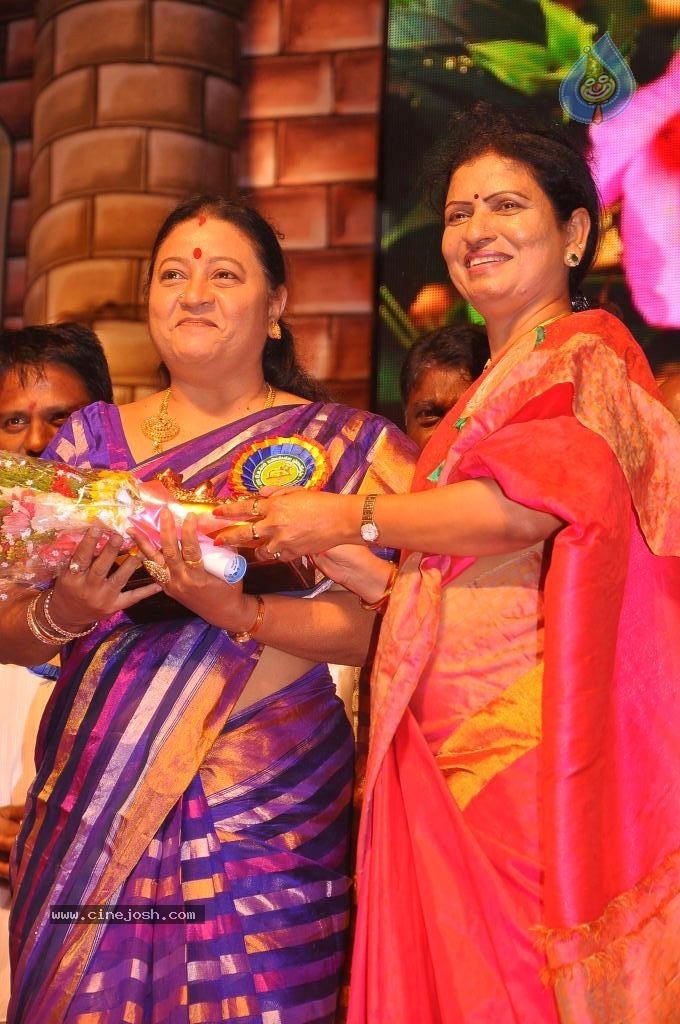TV Nandi Awards 2011 - 134 / 326 photos