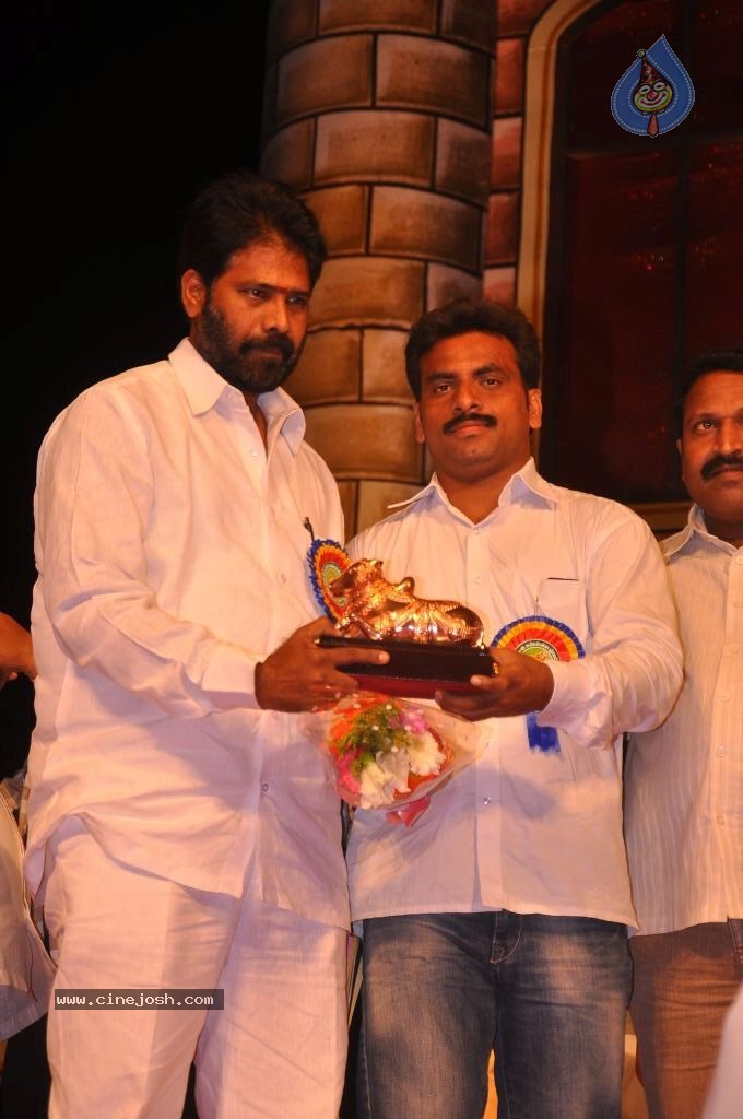 TV Nandi Awards 2011 - 200 / 326 photos