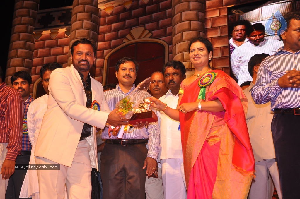 TV Nandi Awards 2011 - 208 / 326 photos