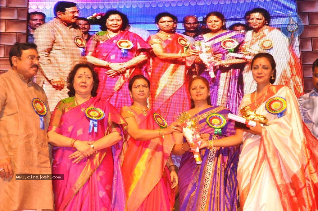 TV Nandi Awards 2011 - 230 / 326 photos