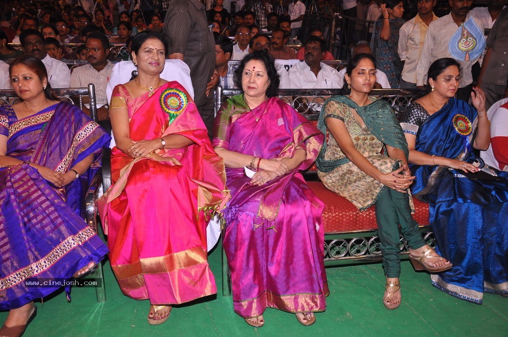 TV Nandi Awards 2011 - 247 / 326 photos