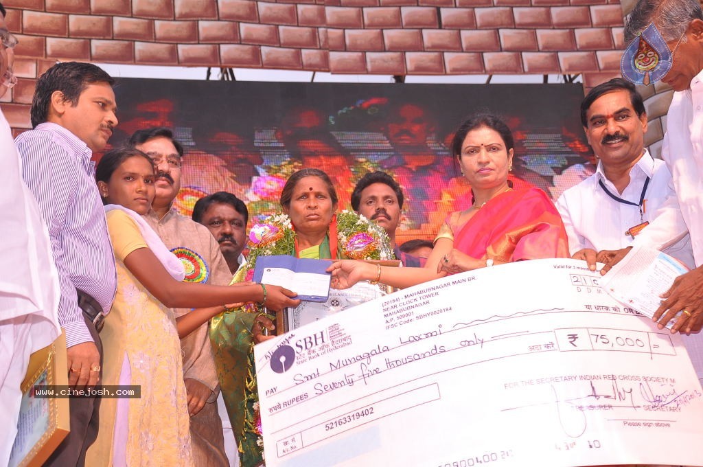 TV Nandi Awards 2011 - 255 / 326 photos