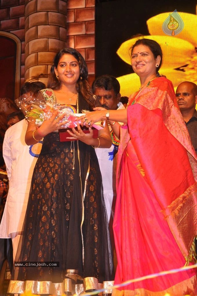 TV Nandi Awards 2011 - 268 / 326 photos