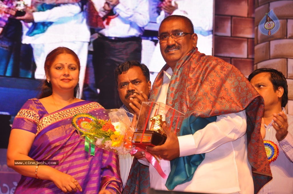 TV Nandi Awards 2011 - 289 / 326 photos