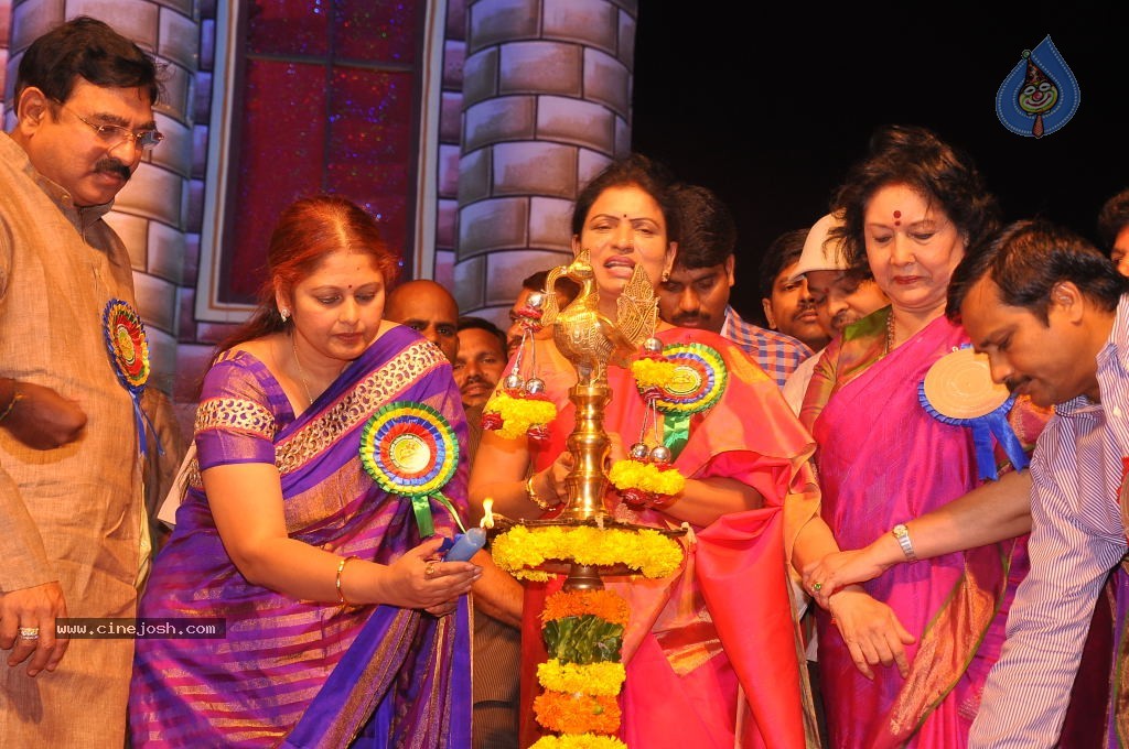 TV Nandi Awards 2011 - 315 / 326 photos