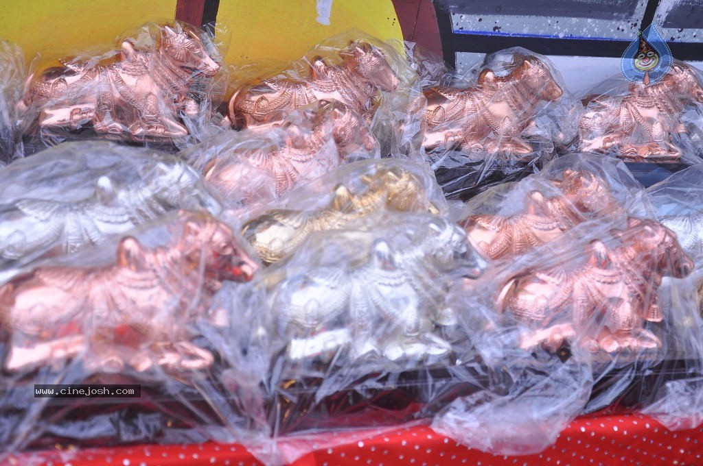 TV Nandi Awards 2011 - 325 / 326 photos
