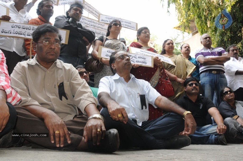TV Parirakhana Samithi Dharna - 7 / 26 photos
