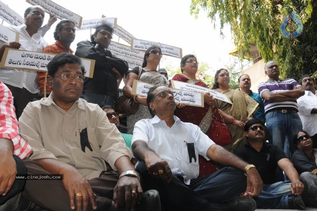 TV Parirakhana Samithi Dharna - 23 / 26 photos