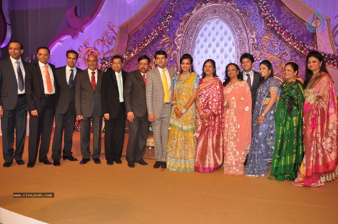 Vaartha MD Girish Sanghi Son Wedding Reception - 19 / 150 photos