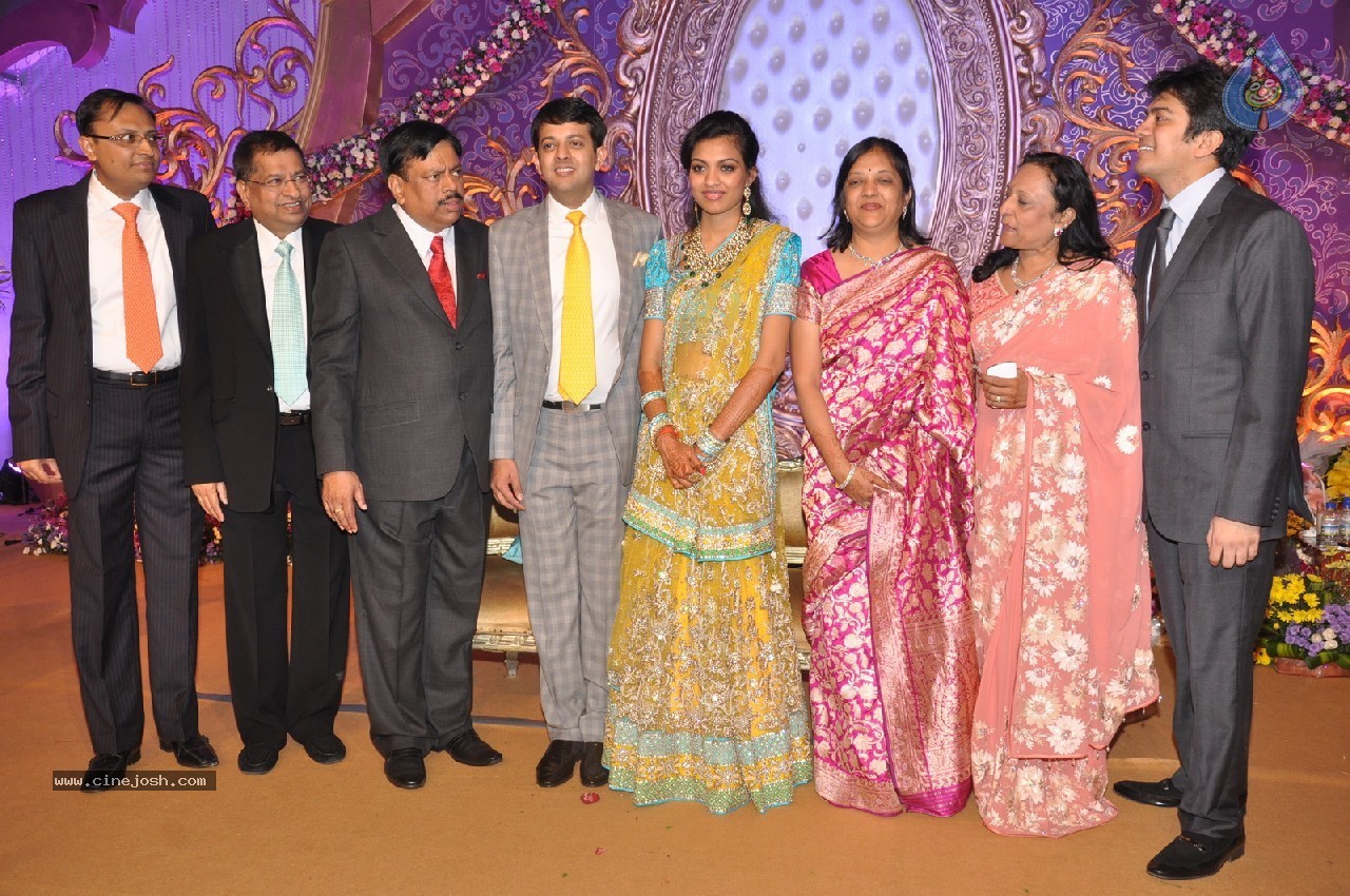 Vaartha MD Girish Sanghi Son Wedding Reception - 117 / 150 photos