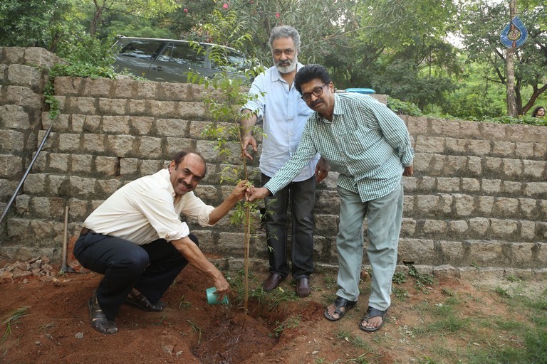 Venkatesh at Haritha Haram Program - 1 / 42 photos