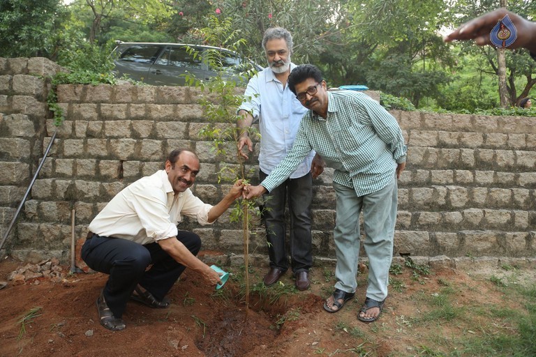 Venkatesh at Haritha Haram Program - 11 / 42 photos
