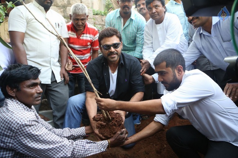 Venkatesh at Haritha Haram Program - 25 / 42 photos