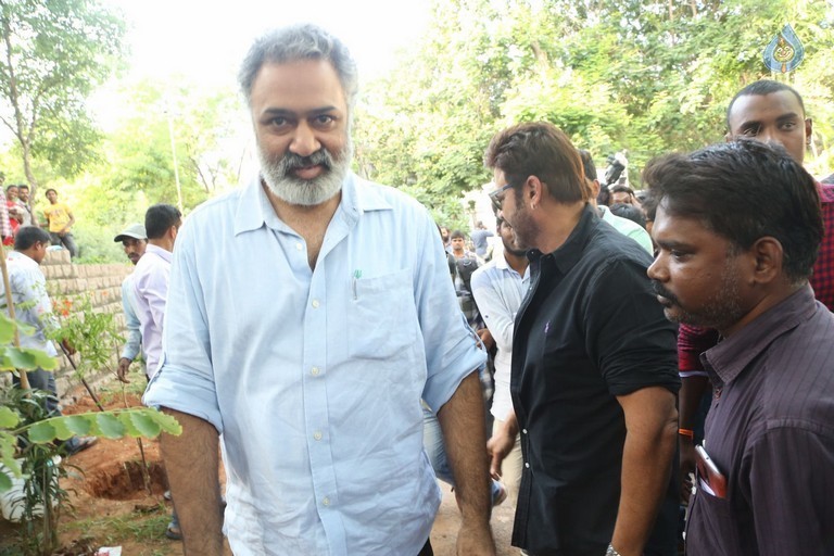 Venkatesh at Haritha Haram Program - 28 / 42 photos