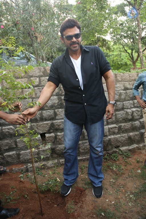 Venkatesh at Haritha Haram Program - 35 / 42 photos