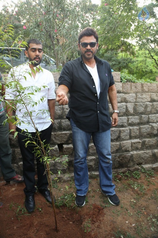 Venkatesh at Haritha Haram Program - 36 / 42 photos