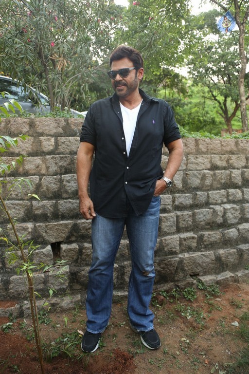 Venkatesh at Haritha Haram Program - 41 / 42 photos