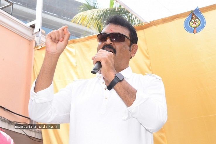 Vijaya Nirmala Statue Inauguration Photos - 50 / 104 photos