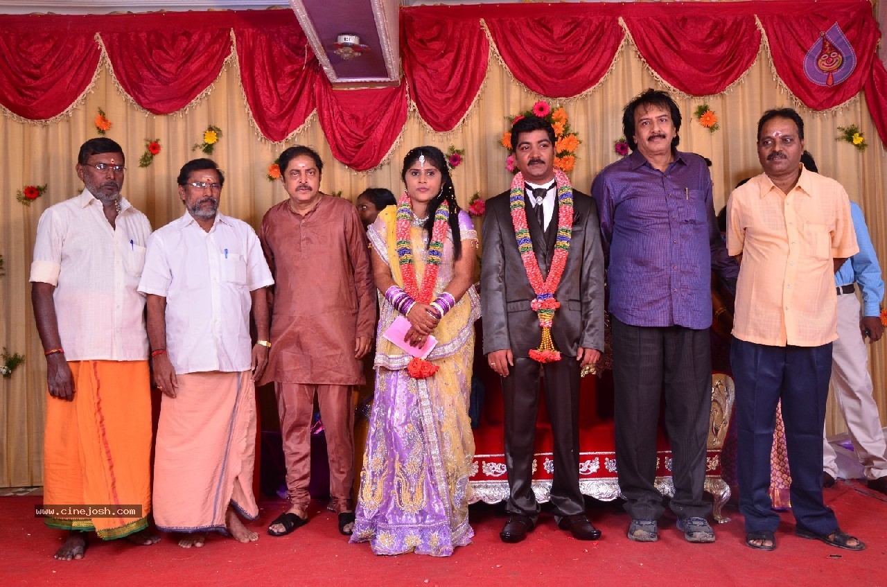 VP Mani Daughter Gayathiri Wedding Photos - 5 / 32 photos